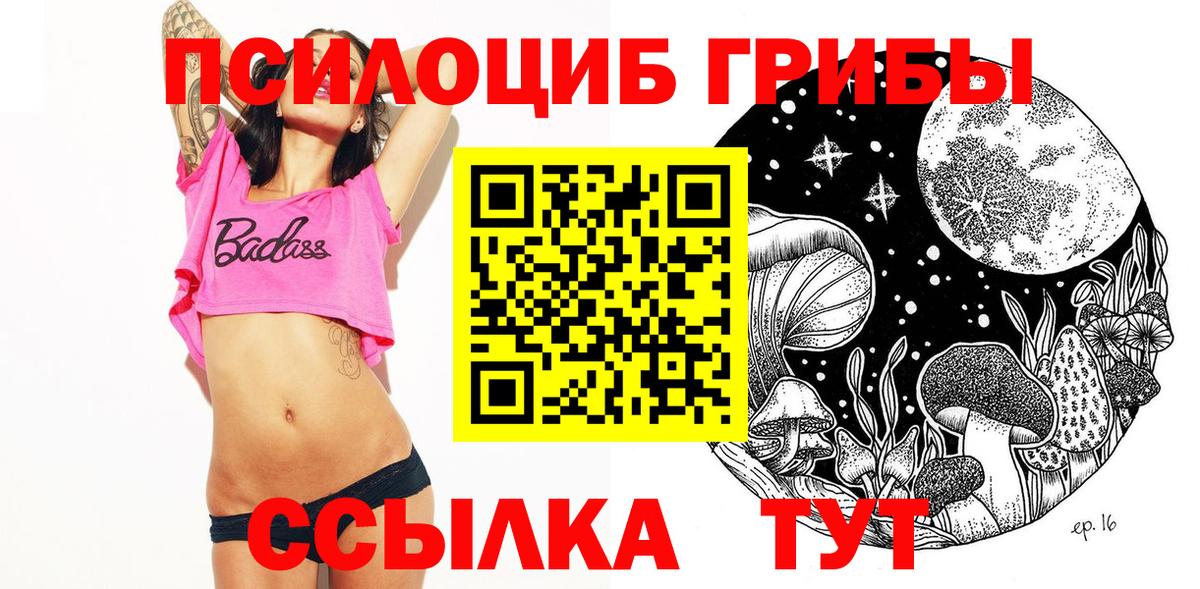 Псилоцибиновые грибы прущие грибы  Вход с VPN  Гусь-Хрустальный 
